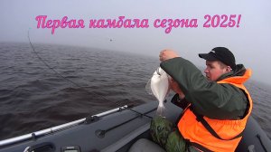 ПЕРВАЯ КАМБАЛА СЕЗОНА 2025!