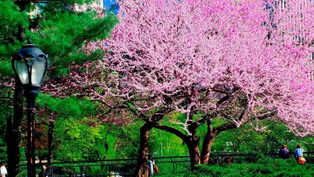 Музыка весны.