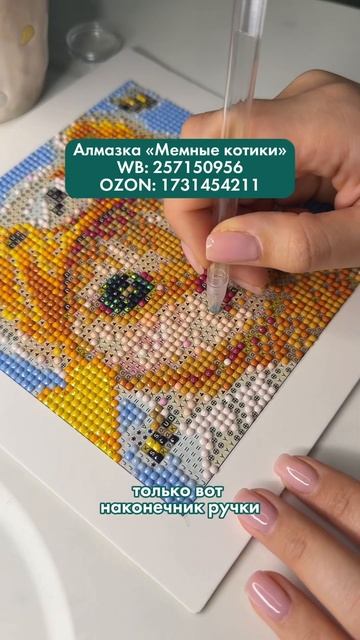 Алмазная мозаика UniPixel Pack «Мемные котики»WB: 257150956 OZON: 1731 смотреть онлайн