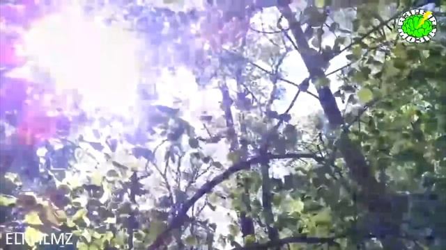 10 НЕОЖИДАННЫХ НАХОДОК смотреть онлайн