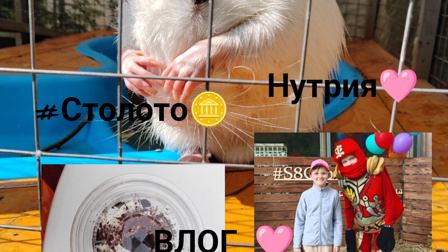 ВЛОГ: #Столото🪙, Нутрия🩷, собачки 🐶, пирожинка🍰, 01.06. — ЛЕТО☀️, экскурсия🏛️ смотреть онлайн
