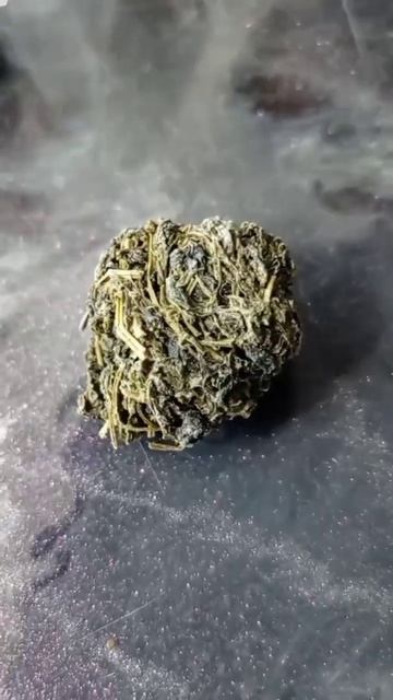 гинностемшар