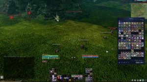 Коллекция «Покоритель небес» | Archeage