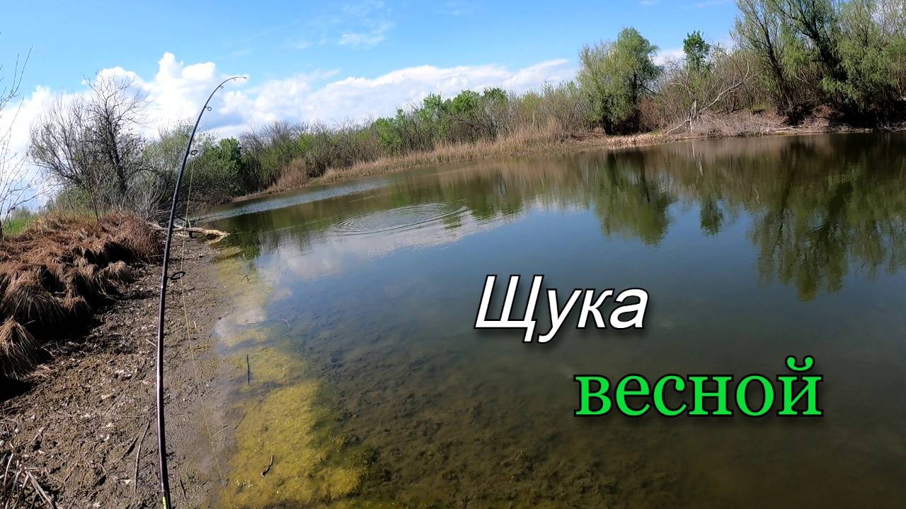 В озере воды по колено, а щука бросается на все приманки. Рыбалка весной на спиннинг, часть 2 смотреть онлайн