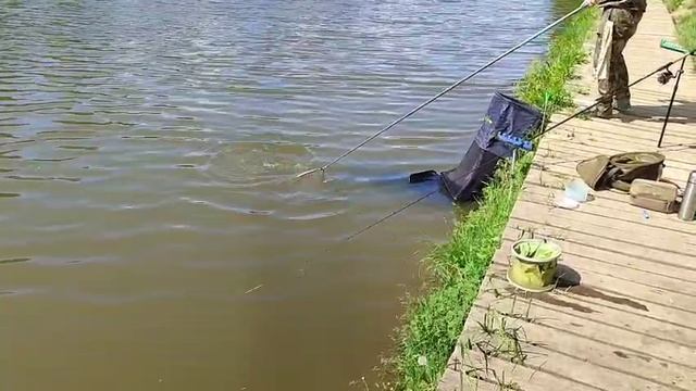 Карпуша смотреть онлайн