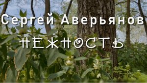 3 февраля международный день нежности. Сергей Аверьянов,  Нежность, посвящение Майе Кристалинской.