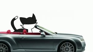 Коты Воители в двух словах/первый цикл (Опасная тропа)