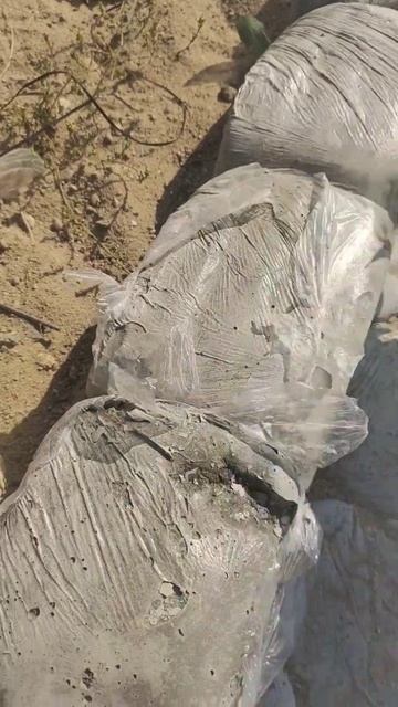 Как я вскрываю пакеты #частныйдом #сад #дача смотреть онлайн