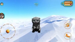 страшный баг в Cat simulator 2015