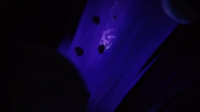 ♮ IX. путь небытия. IX. The Nihility Path.