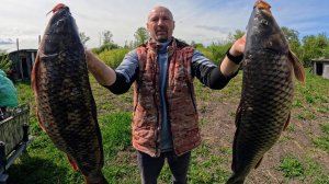 Рыбалка на паук ТОННЫ САЗАНА В ТРУБЕ или как я засадил ниву. Рыбалка 2025. Рыбалка на подъемник.