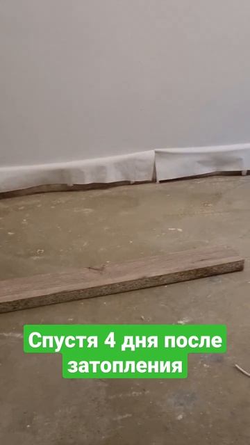 Спустя 4 дня после затопления квартиры смотреть онлайн