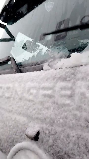 07.05.24. рейс Москва-Красноярск #дальнобой #дальнобойщик? смотреть онлайн