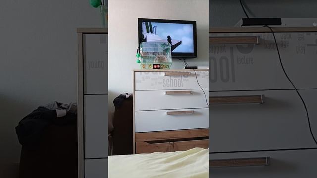 как играть с другом в Human fall flat смотреть онлайн