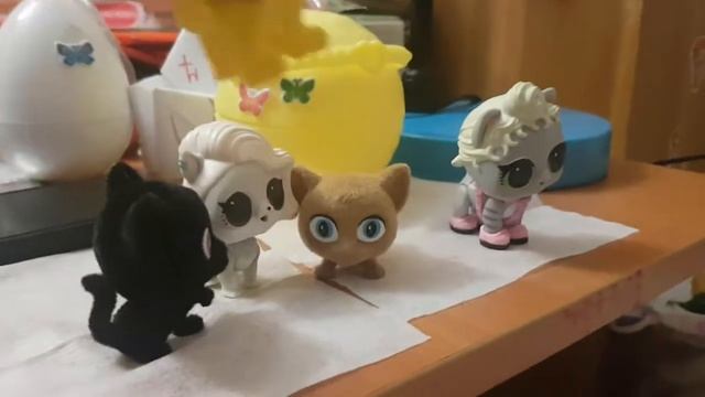 Мой тайный мир питомцев 1 сезон 1 серия смотреть онлайн