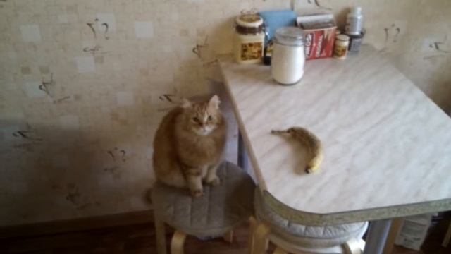 Опасный объект Банан/ dangerious banana смотреть онлайн