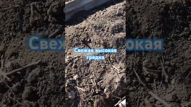 Высокие грядки #высокиегрядки #грядки #огород #огородн смотреть онлайн