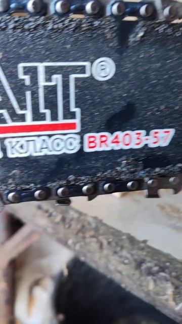 Очень плохая цепь на бензопилу! #dns #ozon #ремонт смотреть онлайн