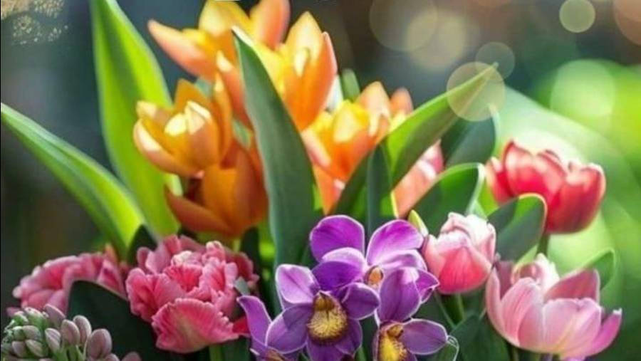 Распаковка.*Цены на клубнику на рынке в г.Москва. смотреть онлайн