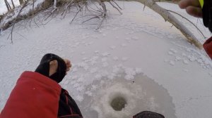 В ЭТИХ ДРОВАХ ПОЛНО КАРАСЯ! ВОТ ЭТО ПЕРВОЛЕДЬЕ