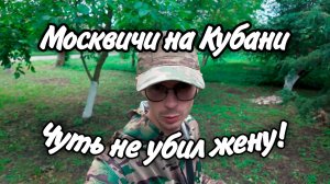 Чуть не убил жену. Какие условия не выполнены при покупке дома на Юге. Покос участка.