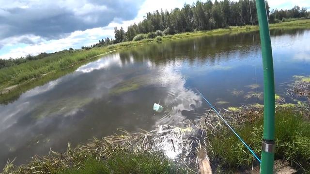 СПАСЕНИЕ КАРАСЯ ИЗ ЛУЖИ смотреть онлайн