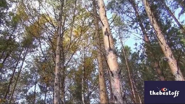 Свобода 4 смотреть онлайн