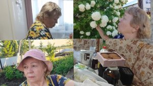 Хроника дня //квас без дрожжей// покупки мужа 👍// заросла травой 🙄