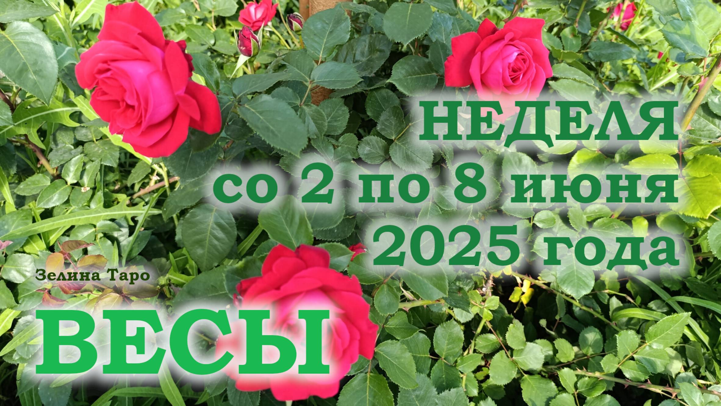 ВЕСЫ | ТАРО прогноз на неделю со 2 по 8 июня 2025 года