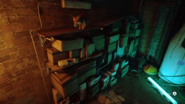 Stray Прохождение 1 PS4