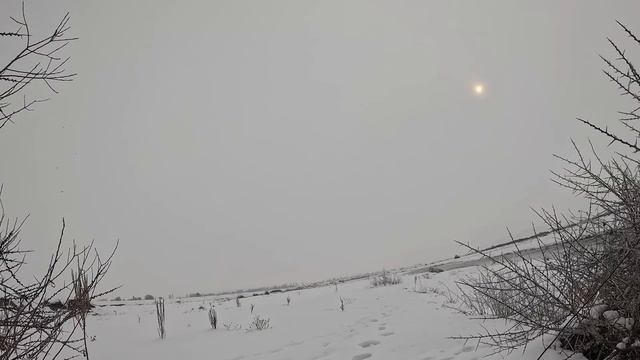 Ördek Avı/Karda Bol Ördekli Bir Av Oldu/Duck Hunting/Утиная охота на снегу смотреть онлайн