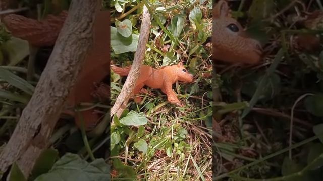 Лошади шляйх на прогулке🐎