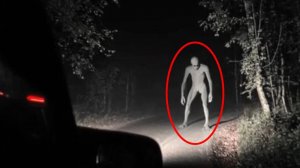 10 САМЫХ СТРАШНЫХ ВСТРЕЧ В КЕМПИНГЕ