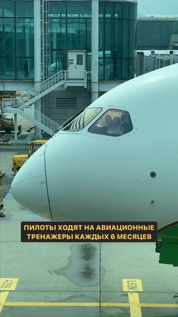 Запомни это если боишься летать смотреть онлайн