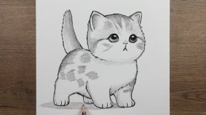 Как нарисовать хорошенькую кошку карандашом - Милый рисунок кошки - Легкие рисунки животных