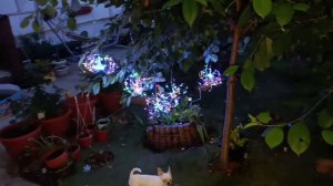 Обалденная гирлянда на солнечной батарее.