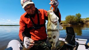 Одна приманка спасла всю рыбалку, Ауха и Верхогляд на спиннинг