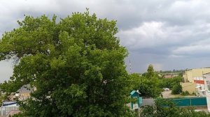 ураганный ветер 01-06-2025