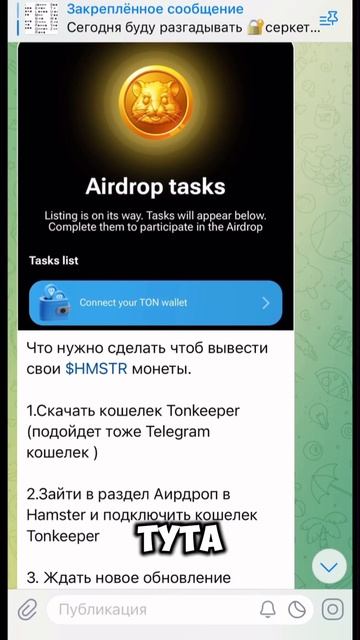 Hamster kombat премаркет-листинг 12.06 в 13:00 $HMSTR #крипта #хамстеркомбат секретный шифр 10.06 смотреть онлайн