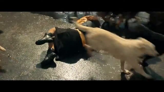 Белый Бог HD смотреть онлайн