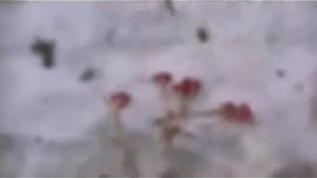 Я буду жить смотреть онлайн