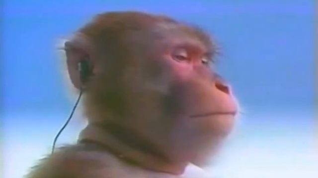 С тем самым другом в Dota 2 смотреть онлайн