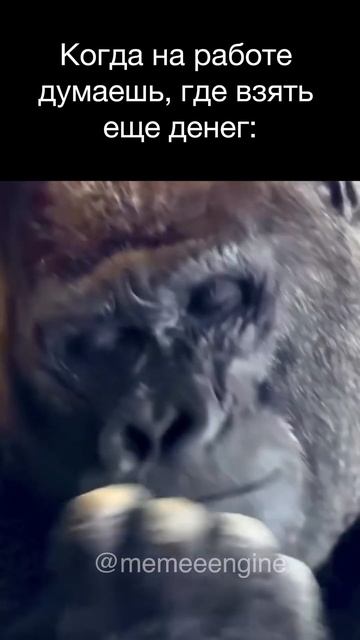 Когда на работе думаешь, где взять еще денег смотреть онлайн