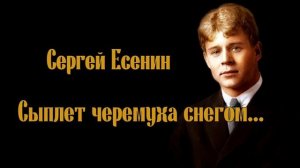 Сыплет черемуха снегом...  Сергей Есенин/СТИХИ ВСЛУХ