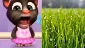 Том оценивает еду