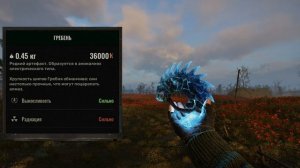 Гребень S.T.A.L.K.E.R. 2: Heart of Chornobyl