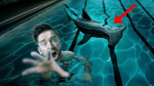 УЖАСАЮЩИЙ ХОРРОР В БАССЕЙНЕ С АКУЛОЙ в Sharks and Minnows