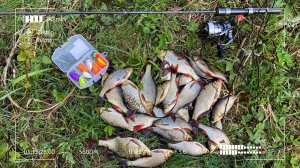 Когда клюет с каждого заброса. Поплапоппер