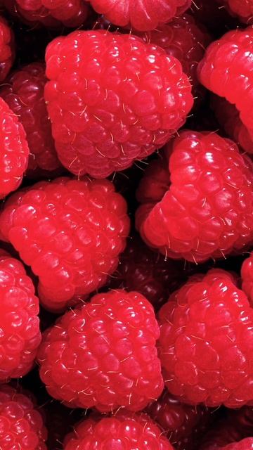 обои на заставку смотреть онлайн