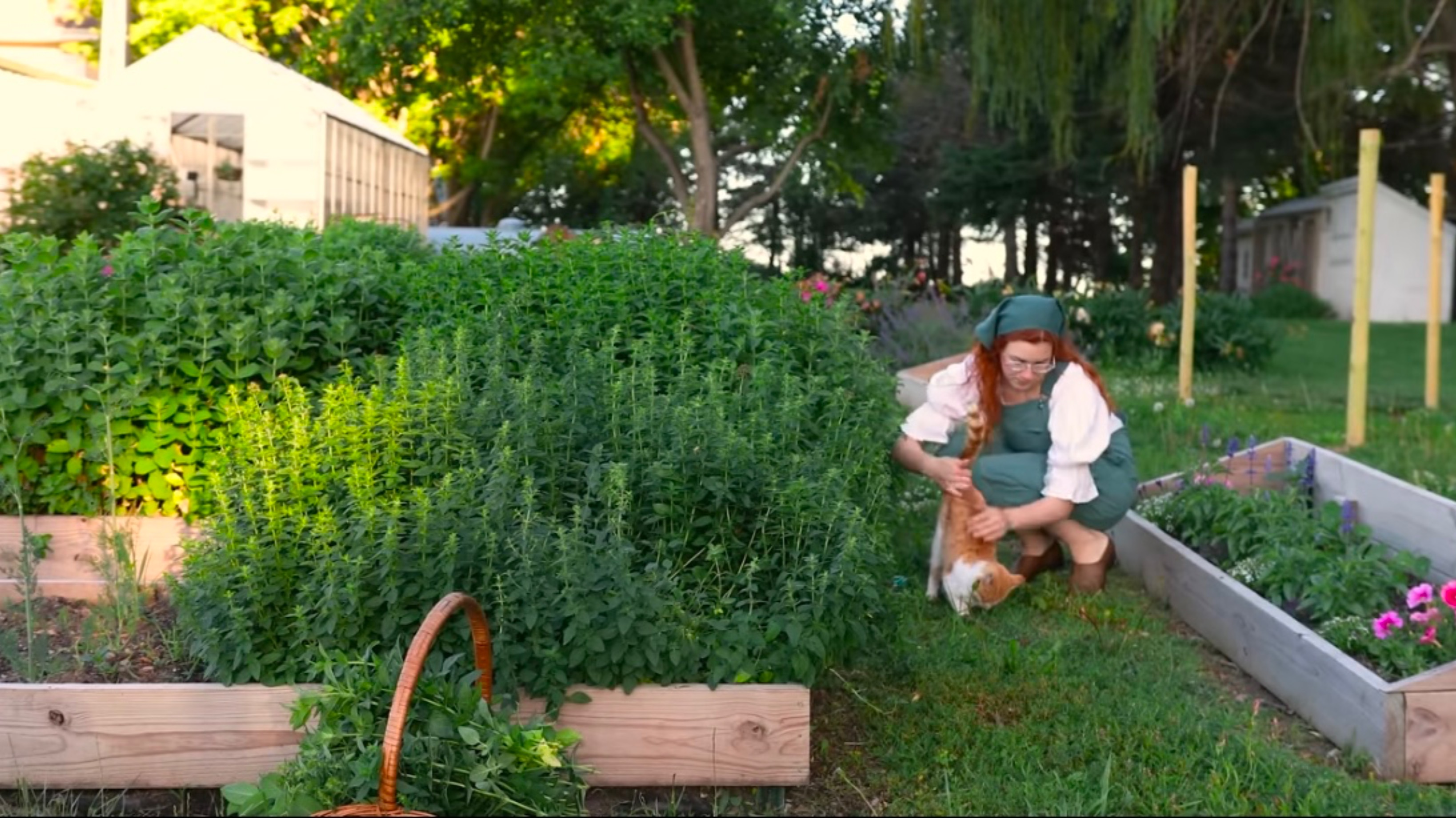 Under A Tin Roof 
Video 1